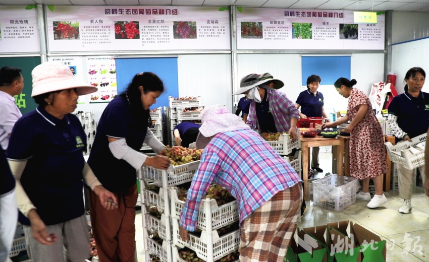 太阳集团81068网址